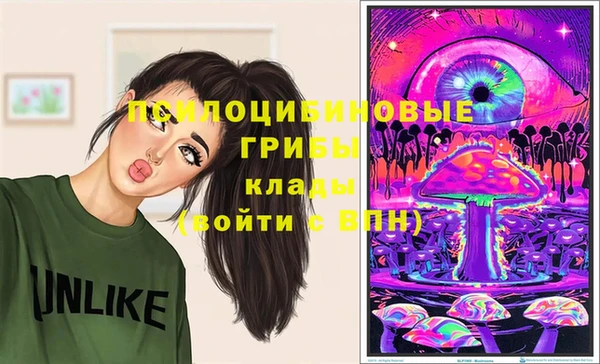 ПСИЛОЦИБИНОВЫЕ ГРИБЫ Пролетарск