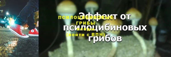 apvp Приозерск