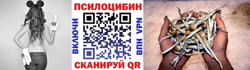 Купить где  Заводоуковск  Псилоцибиновые грибы MAGIC MUSHROOMS 